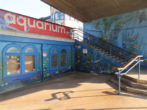 Mural Outside Of The Tiny Aquarium Zoochat