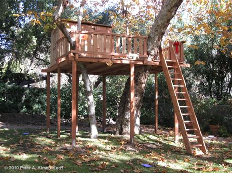 Garbage Bin Shed Plans How To Build A Treehouse Ladder Diy Outdoor
