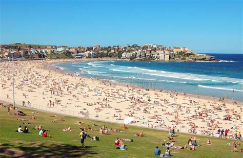 Bondi Beach Sydney Stock Photo Image Of Sunbathing 84317514
