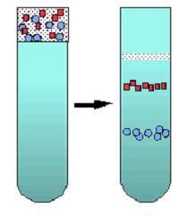 But with flat design dominating web, the gradients are forgotten. Centrifugation Isopycnique; Isopycnic Centrifugation