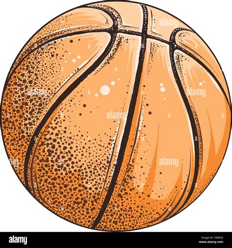Vektor Zeichnung Der Basketball Ball In Farbe Auf Weißem Hintergrund