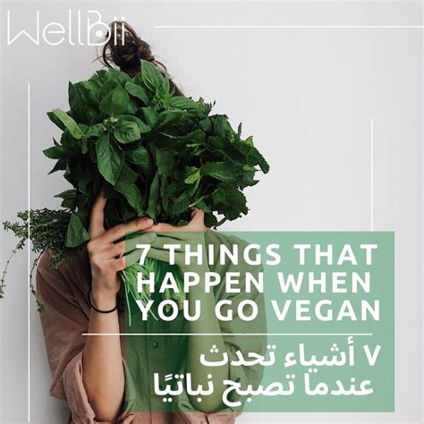 7 Things That Happen When You Go Vegan Wellbii Online