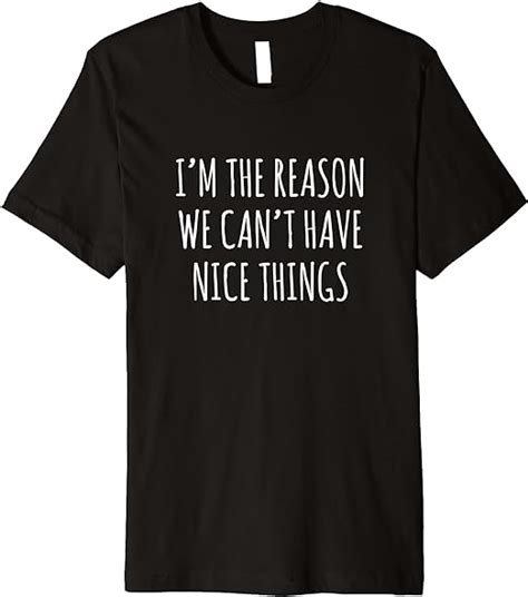 Im The Reason We Cant Have Nice Things Funny Premium T