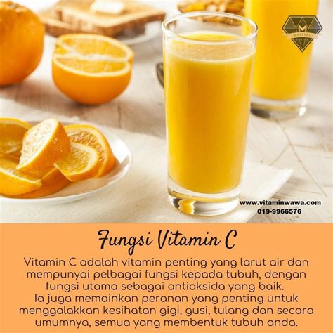 Vitamin C Shaklee Keistimewaan Fungsi Dan Manfaat ~ Vitamin Wawa