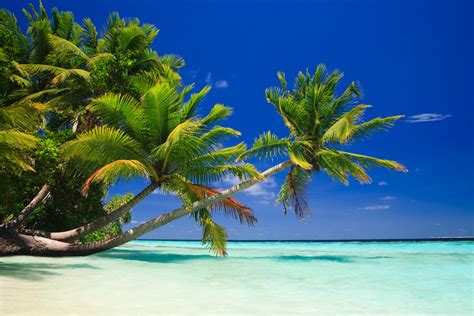 Die bilder sind sehr beliebt um gästebucheinträgen einen emotionalen touch zu verleihen. Amerika Bilder Strand : Setzen Sie Las Amerika In ...