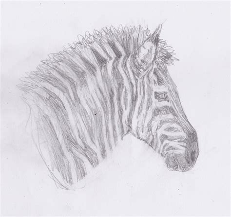Lisa's Painting and Drawing Journal: Wildlife Sketches