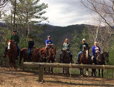 Walden Creek Stables Pigeon Forge Horseback Riding Smoky Mountains