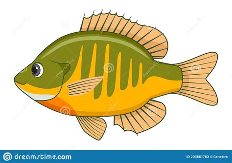 Bluegill Cartoons Illustrations And Vector Stock Images 173 Pictures