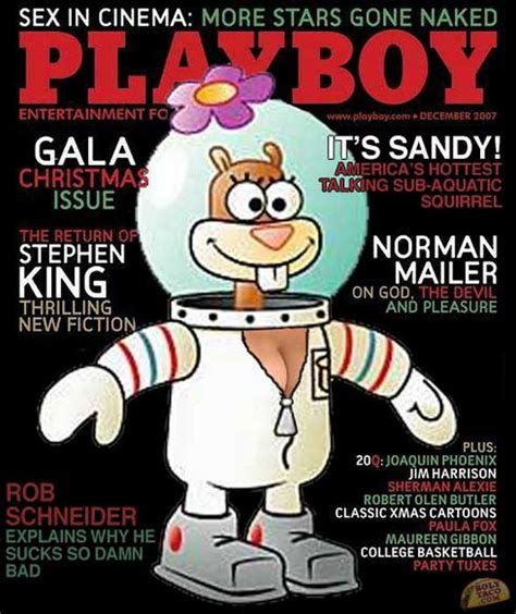 Unpublished Playboy Covers Gallery EBaum S World