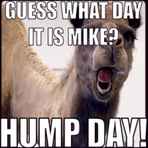 Images Of Hump Day