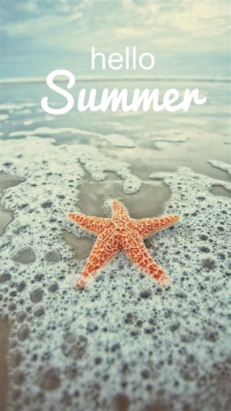 Free Download 49 Iphone Summer Wallpapers Free 640x1136 For Your