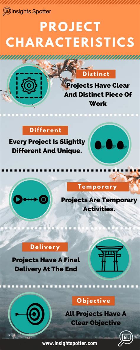 Project Characteristics Key Elements That Define A Project Insights