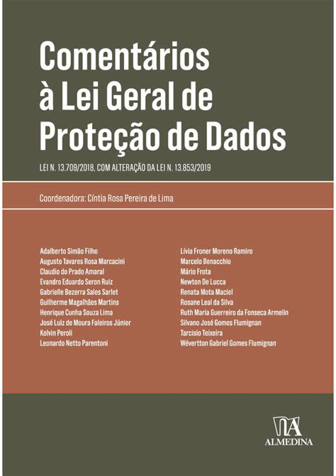 PDF Princípios que regem o tratamento de dados no Brasil