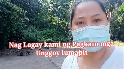 Nag Lagay Kami Ng Pagkain Mga Unggoy Lumapitmarigondon Vlogger Youtube