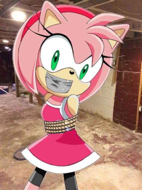 Pin By J Paul 3 On Amy Rose Tied Up In 2022 Amy Rose Character Hedgehog