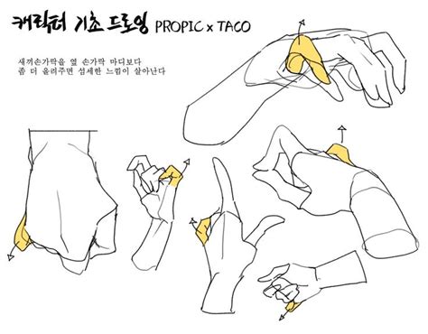 Twitter | Hand drawing reference, Drawing reference, Drawing reference