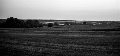 Rural Black And White Landscape Stock Photo Image Of White Field