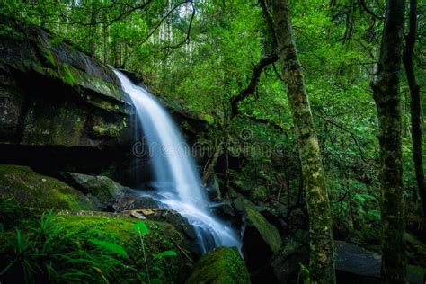 Waterfall In The Tropical Rainforest Landscape Stock Photo Image Of