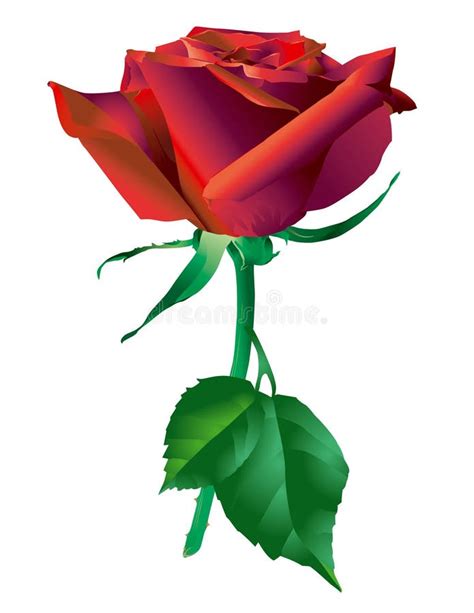 Heart Rose Stock Vector Illustration Of Love Cute T 10029938