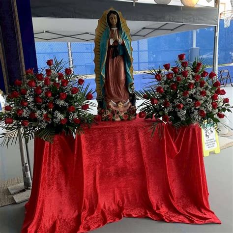 Our Lady Of Guadalupe Star Of The New Evangelization Mary Star Of