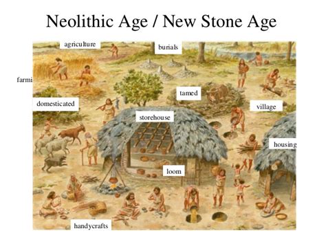 Neolithic Age In India Tools Neolithic Sites Art Burials