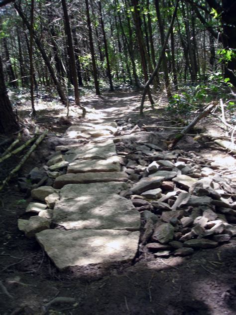 Gallery Lake Nockamixon Mountain Bike Trails