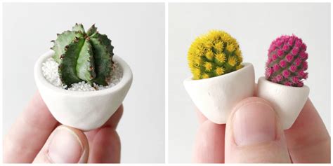 There are 539 real cactus for sale on etsy, and they cost £11.73 on average. This Micro-Cactus Trend Is Too Cute - Joanna Gaines Loves ...