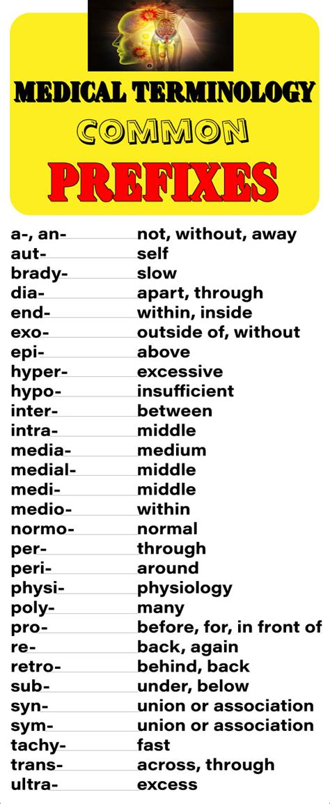 Anatomy And Physiology Root Words Prefixes Suffixes Anatomical Charts Hot Sex Picture
