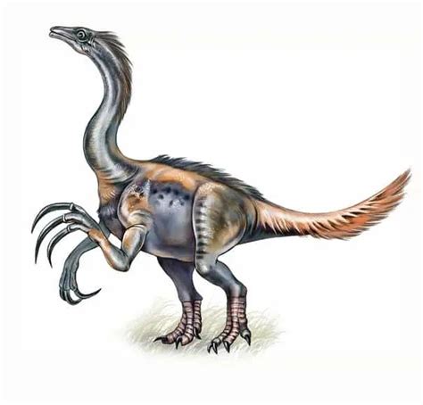 An Ultimate Guide To Therizinosaurus The Scythe Lizard