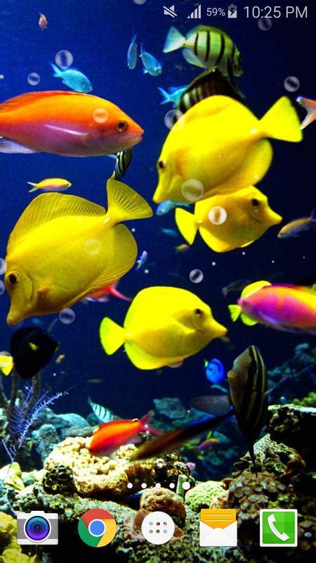 Ocean Fish Live Wallpaper Free Apk Download Free