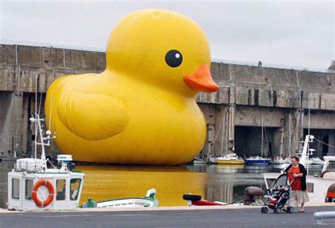 Dutch Artist Florentijn Hofman Creator Of The Giant Rubber Duck