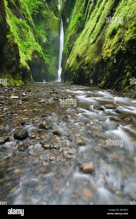 Oneonta Falls In Columbia River Gorge Stock Photo Alamy