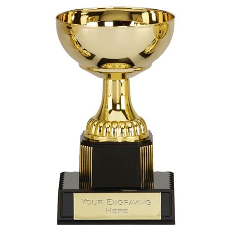 Bargain Budget Presentation Cup Trophy School Sports Awards Free