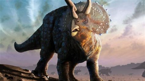 ¿de Dónde Vienen Realmente Los Dinosaurios El Inesperado Origen De Las