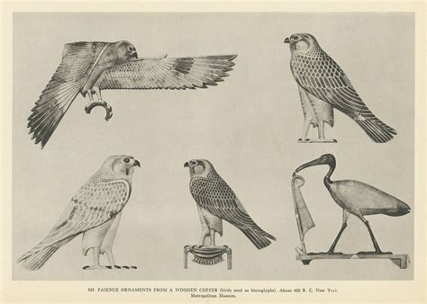 Egyptian Birds Used In Hieroglyphics About 400 Bc Now At The New