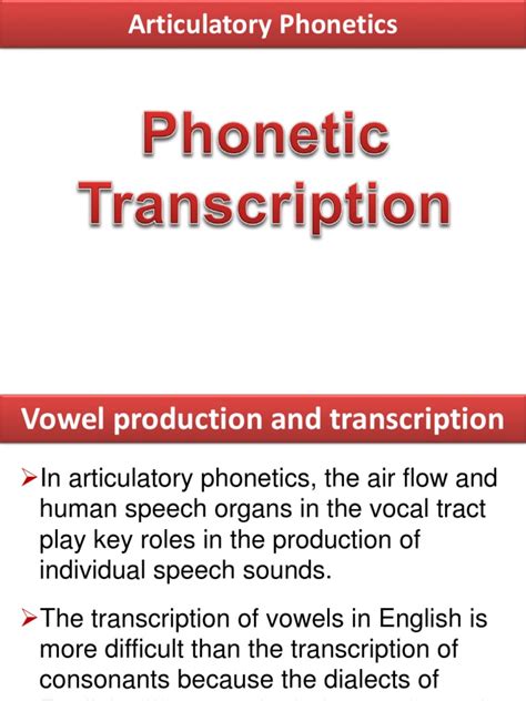 Articulatory Phonetics Phonetic Transcription Pdf Collation Writing