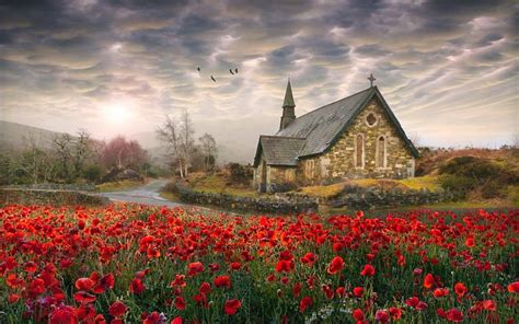 Sacred Poppies Red Ireland Birds Bonito Spring Church Trees