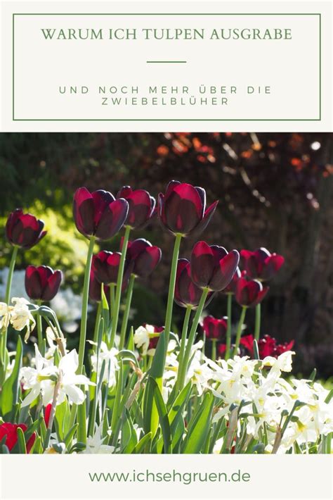 Auf diese frage gibt mutter natur ihre antwort: Pin auf Für den Garten