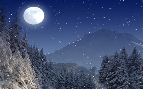 This is a cozy screensaver for winter days. Snow Over Desktop Screensaver - Screensaver Software for PC