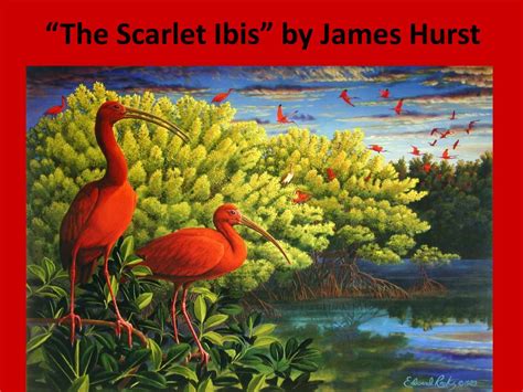 Ppt “the Scarlet Ibis” By James Hurst Powerpoint Presentation Free