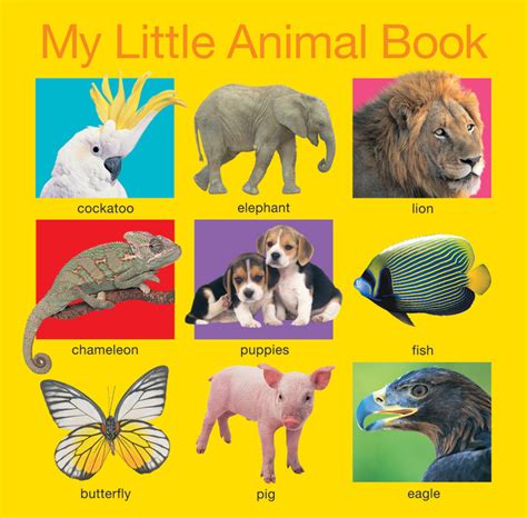 My Little Animal Book Roger Priddy Macmillan