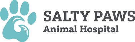 Salty Paws Animal Hospital Flagler Beach Fl