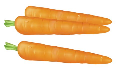 Carrot Clipart Vegtable Pencil And In Color Carrot  Clipartix