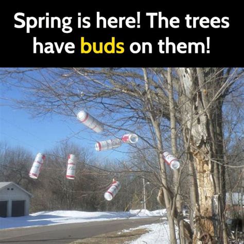Spring Is Finally Here Funny