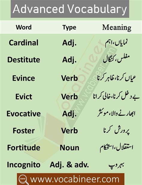 Css Vocabulary Pdf List With Urdu Meanings Vocabineer Daily