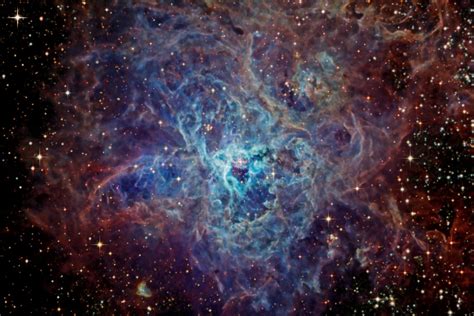 Tarantula Nebula Or Ngc 2070 Largest Known Nebula — Astronoo