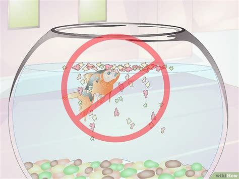 5 Ways To Keep A Goldfish Alive Goldfish Tank Goldfish Goldfish Care