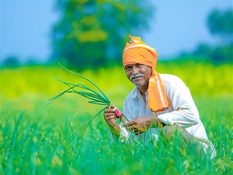 For individuals, there are products like car insurance, travel insurance, two wheeler insurance, health insurance, personal accident insurance, crop insurance and home insurance. Government Schemes For Farmers In India 2020 - Farmer Foto Collections