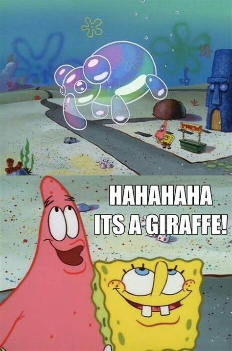 Its A Giraffe Spongebob Funny Spongebob Quotes Spongebob