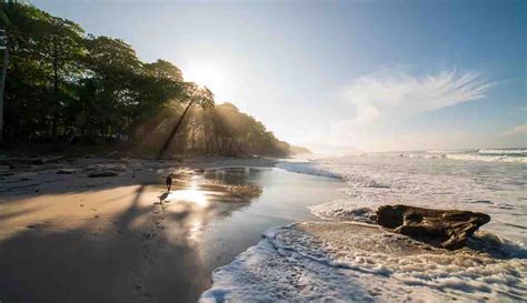 Discover These Dog Friendly Travel Destinations In Costa Rica ⋆ The